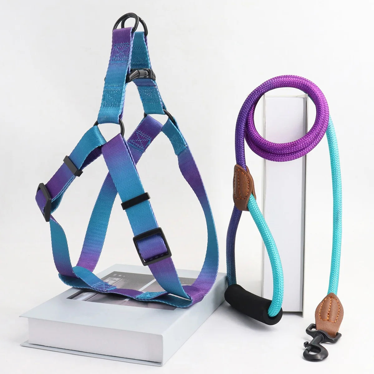 Fashionable Harness with leash