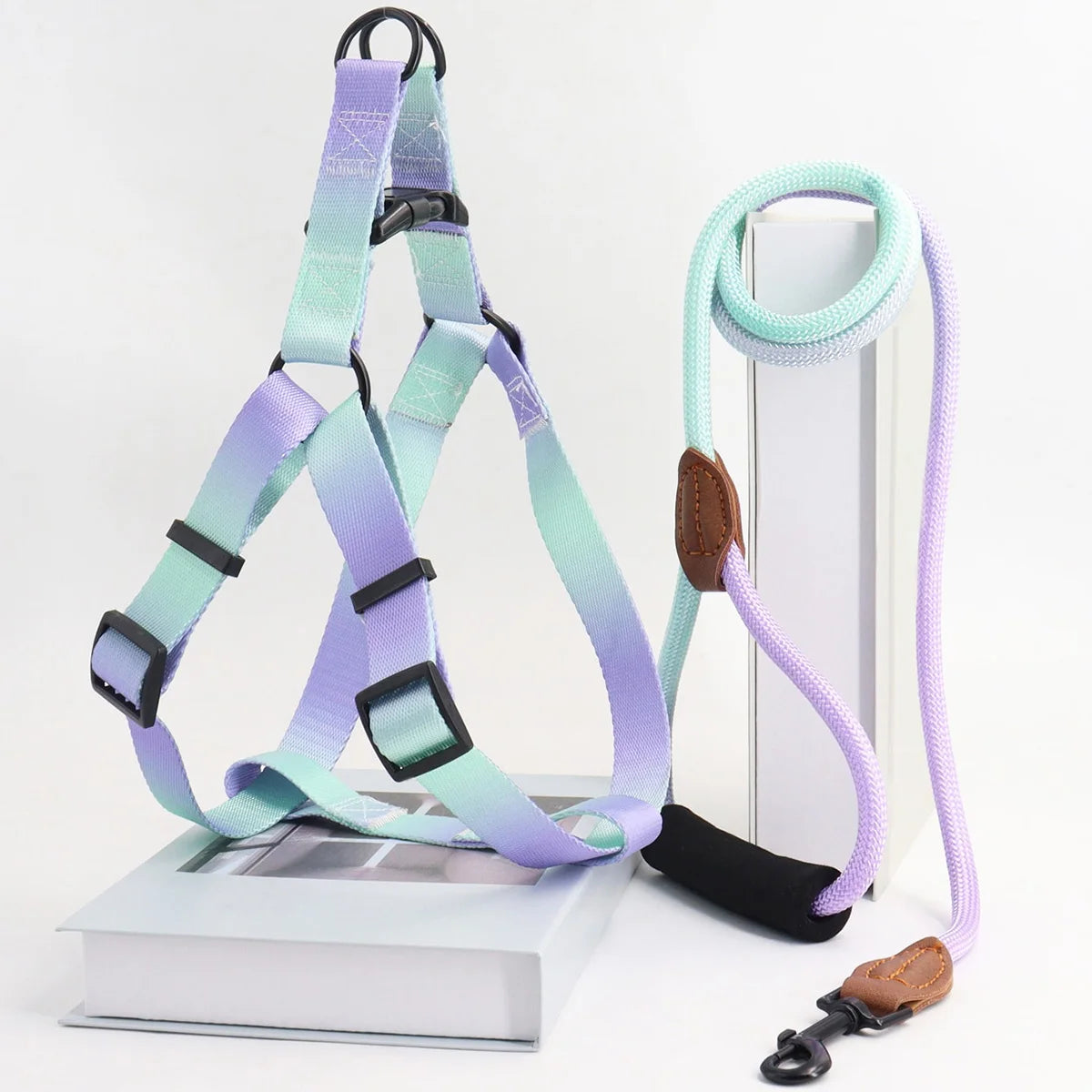 Fashionable Harness with leash