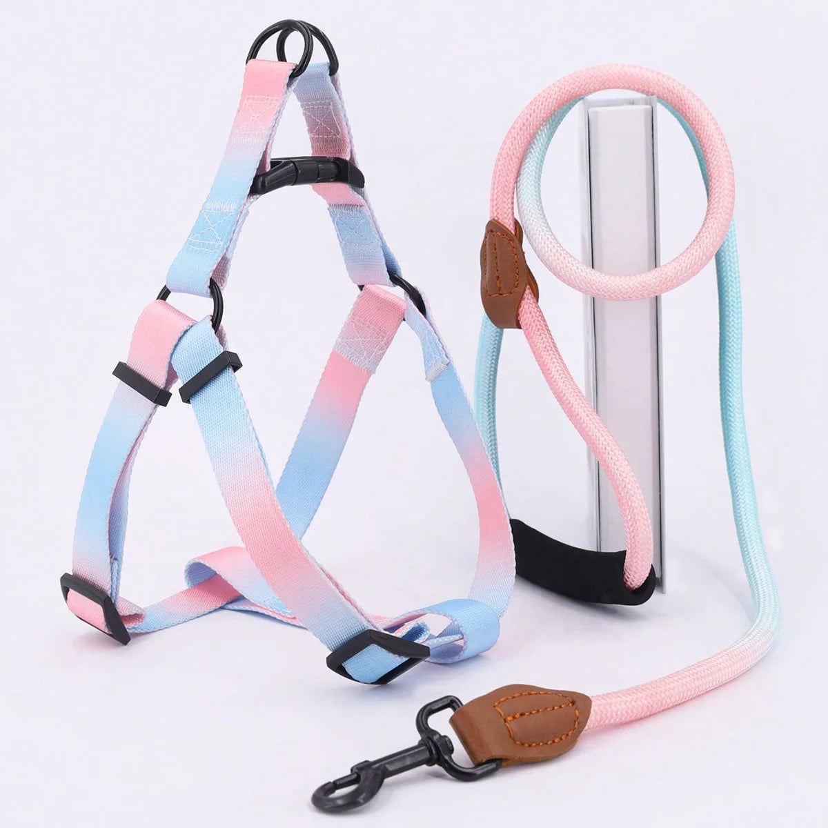 Fashionable Harness with leash