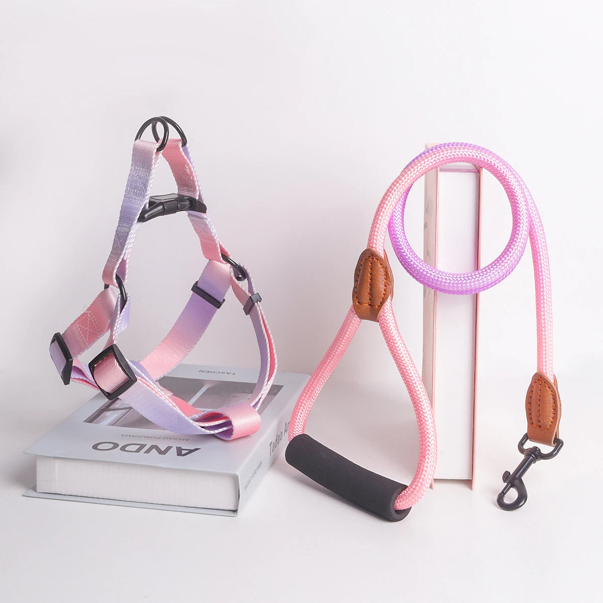 Fashionable Harness with leash