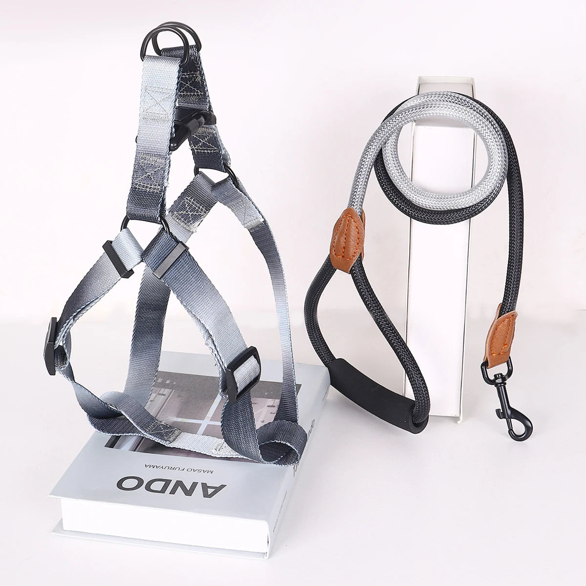 Fashionable Harness with leash